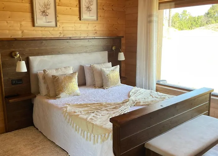 Retiro Do Vouga Feriehus *